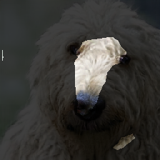 layer2-309