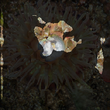 layer2-309