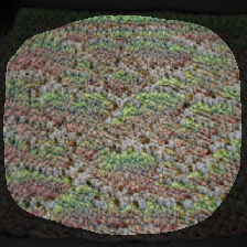 layer1-501