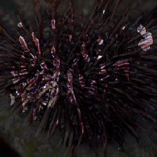 layer3-129