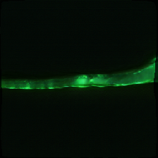 layer2-311
