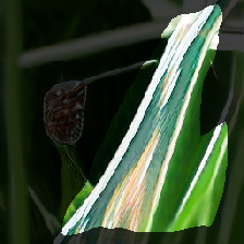 layer2-703