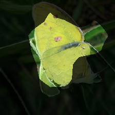 layer0-1439