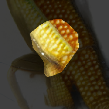 layer0-1439