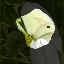 layer0-1439