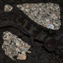 layer2-314