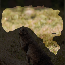 layer2-314