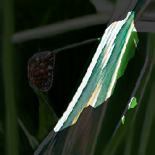 layer2-505