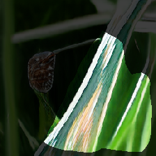 layer1-725