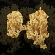 layer2-315