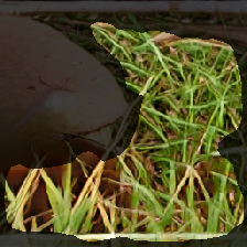 layer2-506
