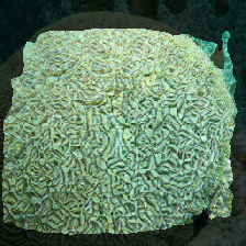 layer2-709