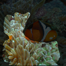 layer2-316