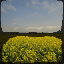layer2-136