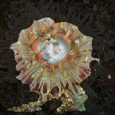 layer2-508