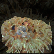 layer2-508