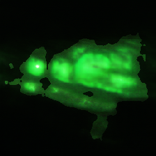 layer3-138