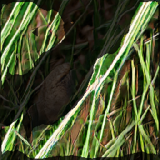 layer2-713