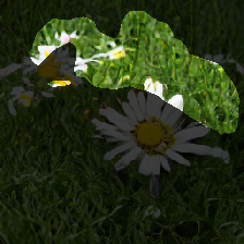 layer1-339
