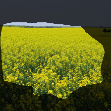 layer1-729