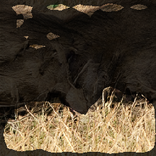 layer2-511