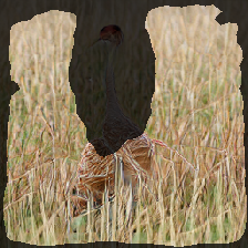 layer2-511