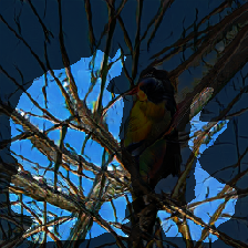layer2-511