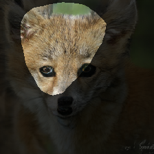 layer1-341