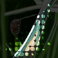 layer2-514