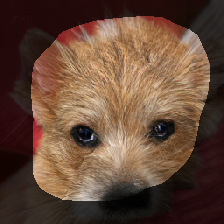 layer1-343