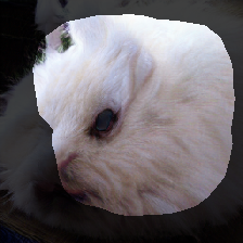 layer1-343