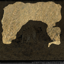layer2-137