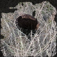 layer2-137