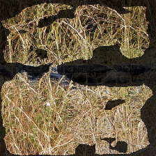 layer2-137
