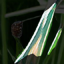 layer2-517