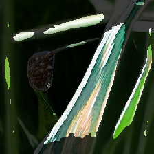 layer3-151