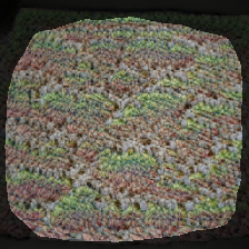 layer1-114