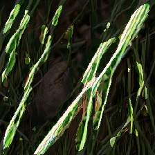 layer3-153