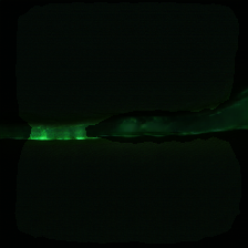 layer2-728