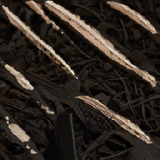 layer2-523