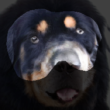 layer1-354