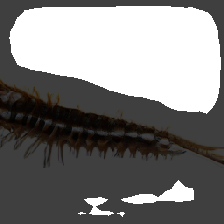 layer2-336