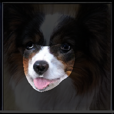 layer2-337
