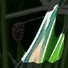 layer2-527