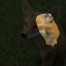 layer2-527