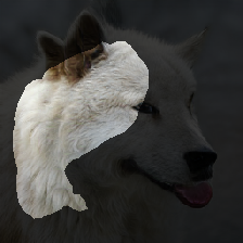 layer2-527