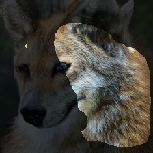layer2-527