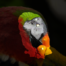 layer2-338