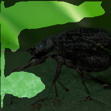 layer2-343