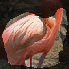 layer1-751